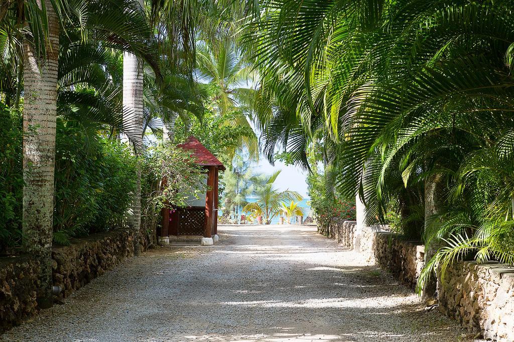 Condo Hotel Playa Las Ballenas Las Terrenas Dış mekan fotoğraf
